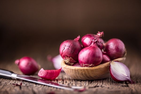 Telegram mega onion mega sbs