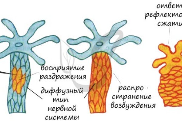 Зеркало в меге