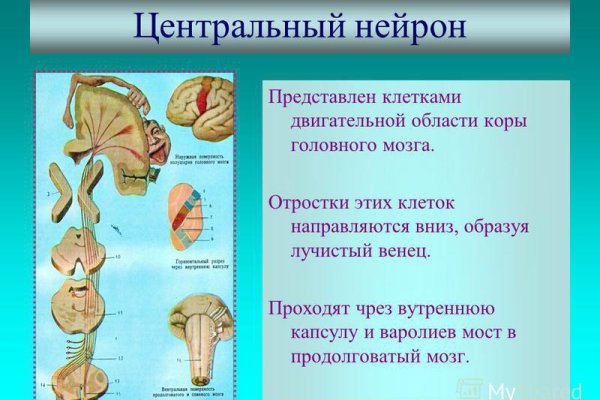 Сайт мега тор браузер